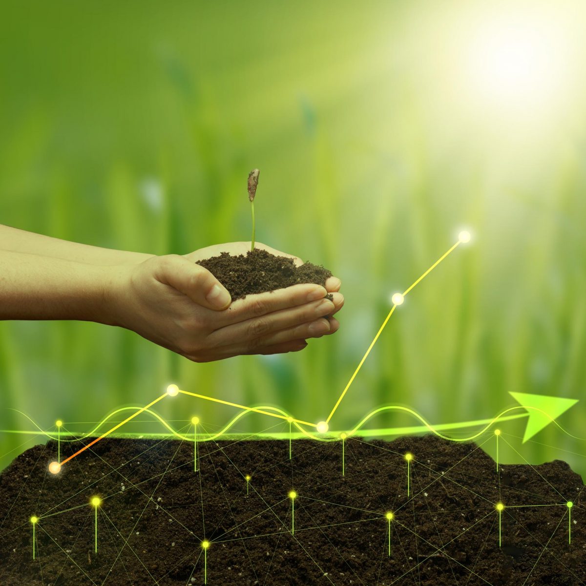 female-hand-holds-handful-earth-with-young-green-seedling-plant-against-background-holographic-graph-with-growing-indicators-concept-high-profitability-business-growth